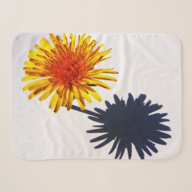 Couverture Sherpa Dandelion et ombre sbcna (Devant (Horizontal))