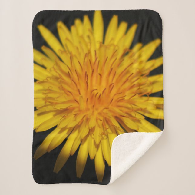 Couverture Sherpa Dandelion Flower sbcnm (Devant)