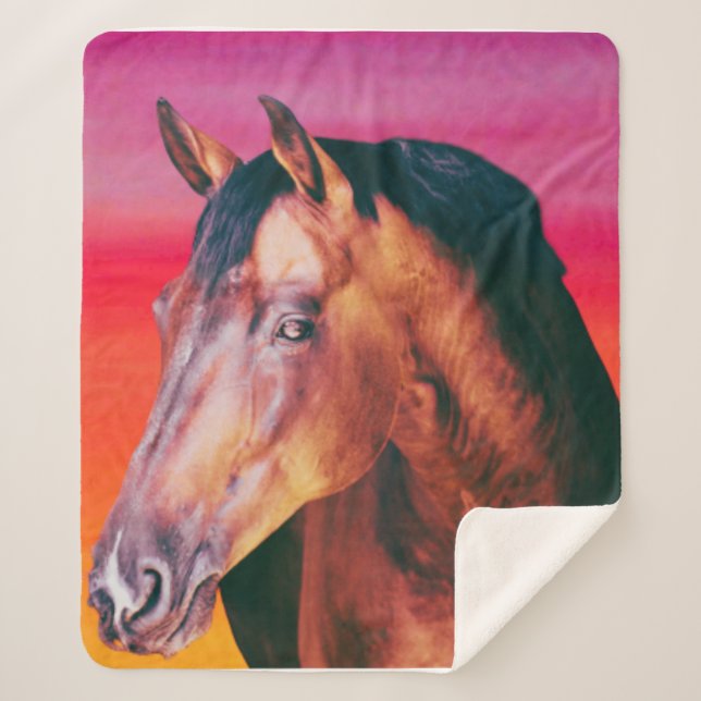 Couverture Sherpa Dégradé de la baie (Devant)