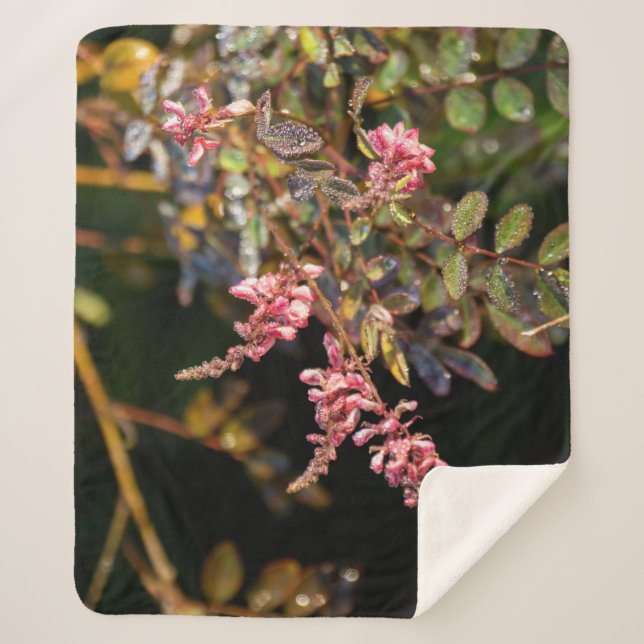 Couverture Sherpa Des fleurs roses contre un arrière - plan noir (Devant)