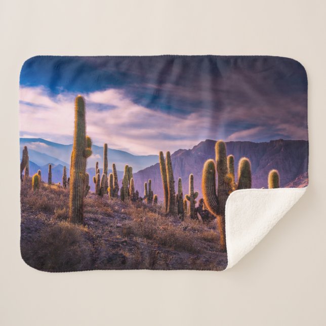 Couverture Sherpa Deserts | Cactus Landscape Argentina (Devant (Horizontal))