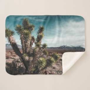 Couverture Sherpa Deserts Cholla Cactus