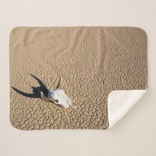 Couverture Sherpa Deserts Cow Skull on the Desert Ground