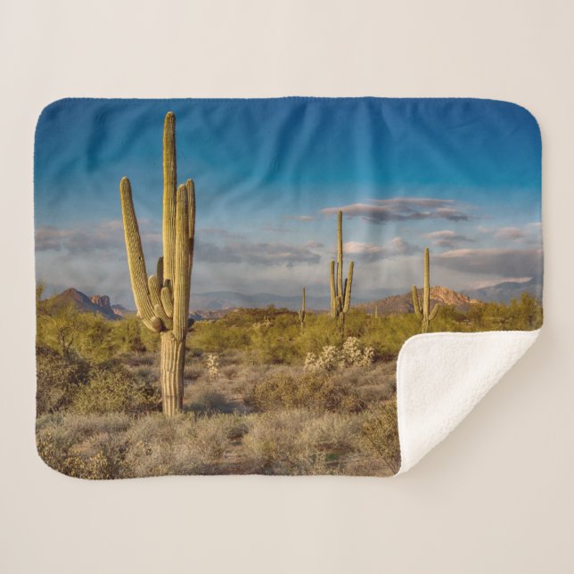 Couverture Sherpa Deserts | Superstition Mountains, Arizona (Devant (Horizontal))