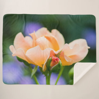 Couverture Sherpa désir