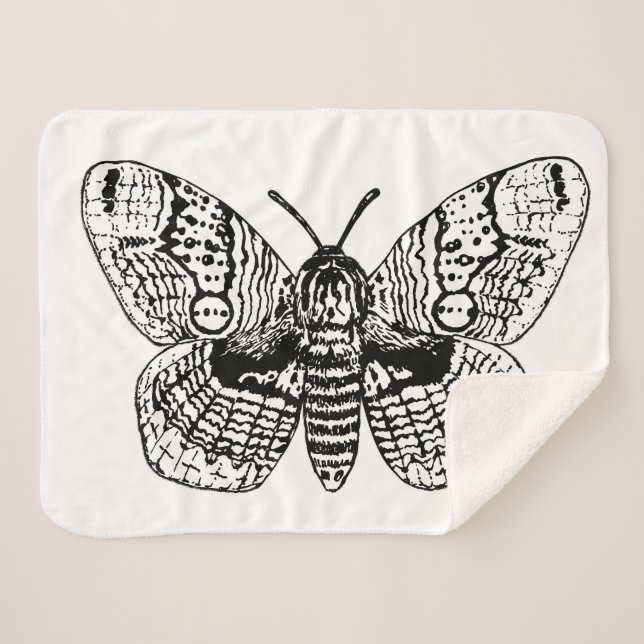 Couverture Sherpa Dessin Brahmin moth (Devant (Horizontal))
