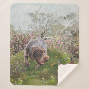 Couverture Sherpa Deutsch Drahthaar