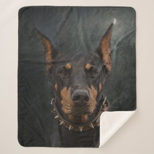 Couverture Sherpa Doberman Pinscher