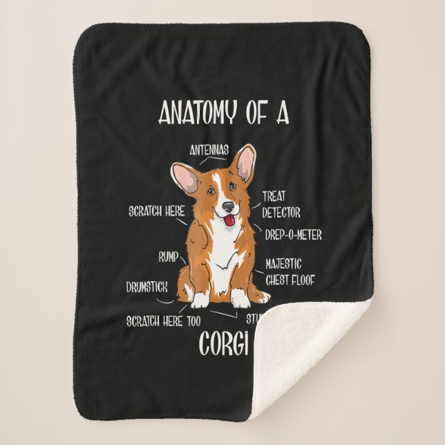 Couverture Sherpa Dog Anatomy , Cute Welsh Corgi Cadeau De Biologie  (Devant)