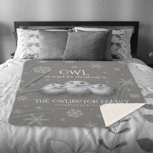 Couverture Sherpa Drôle Chouette que nous voulons pour Noël ... Chou (Funny Owl We Want for Christmas Snowy Owls Family Sherpa Fleece Blanket Cover Photo.)