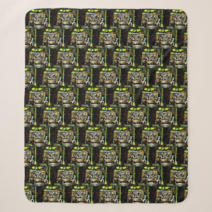 Couverture Sherpa Éblouissant