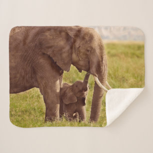 Couverture Sherpa Éléphant et bébé des images de Getty
