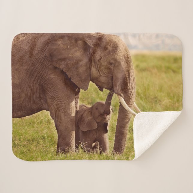 Couverture Sherpa Éléphant et bébé des images | de Getty (Devant (Horizontal))