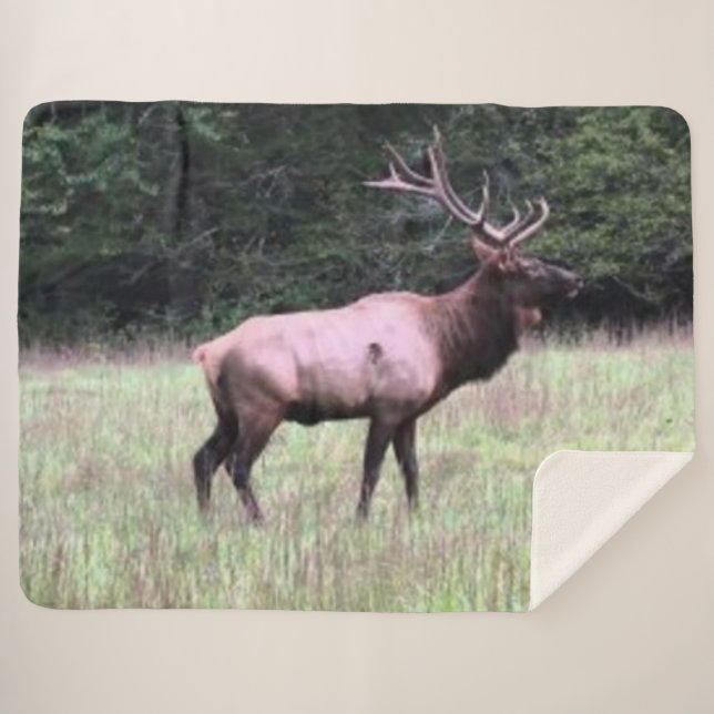 COUVERTURE SHERPA ELK MAJESTIQUE (Devant (Horizontal))
