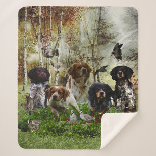 Couverture Sherpa Épagneuls bretons, chasse aux oiseaux     