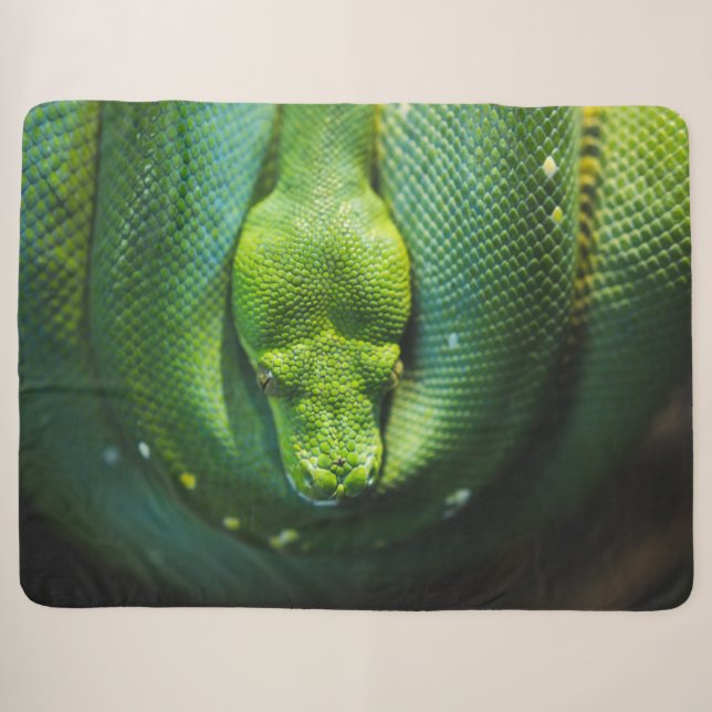 COUVERTURE SHERPA ESNAKE VERT (Devant (Horizontal))