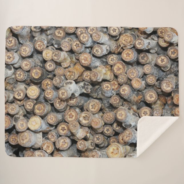 Couverture Sherpa Etoiles le long du Rio Grande Cotton Bois Talki (Devant (Horizontal))