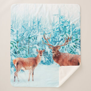 Couverture Sherpa Famille de cerfs nobles en hiver enneigé. Noël 