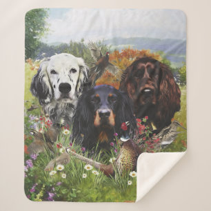 Couverture Sherpa Famille Setters