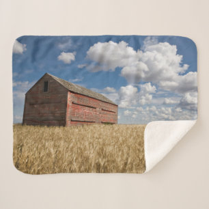 Couverture Sherpa Farms Old Red Barn in Wheat Field