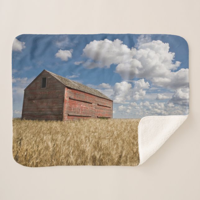 Couverture Sherpa Farms | Old Red Barn in Wheat Field (Devant (Horizontal))