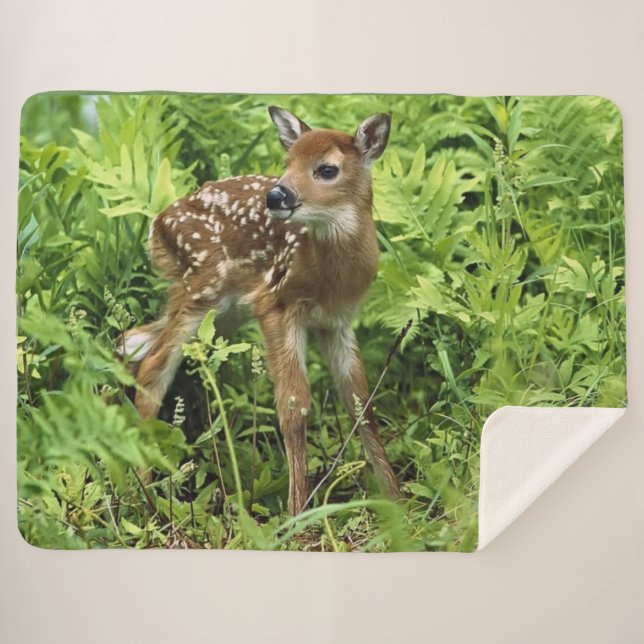 COUVERTURE SHERPA FAUNE (Devant (Horizontal))