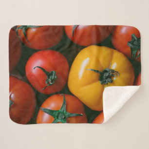 Couverture Sherpa Fermes   Tomates rouges et jaunes brillantes