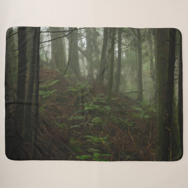 Couverture Sherpa FERNS dans la FORREST (Devant (Horizontal))