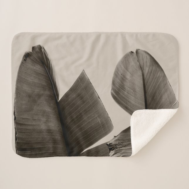 Couverture Sherpa Feuilles de bananiers à Sepia (Devant (Horizontal))