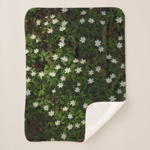 Couverture Sherpa Fleurs blanches de printemps en forêt