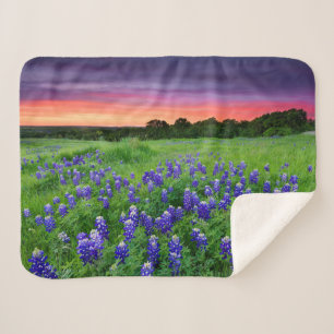 Couverture Sherpa Fleurs   Bluebonnets à Sunset Texas