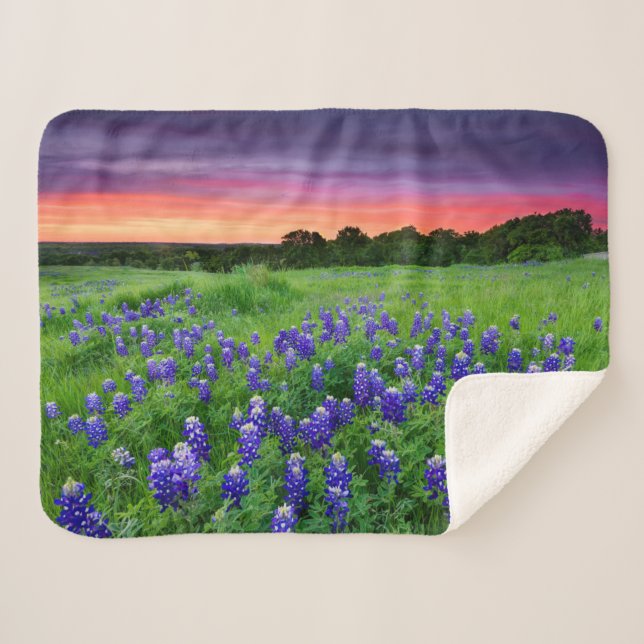Couverture Sherpa Fleurs | Bluebonnets à Sunset Texas (Devant (Horizontal))