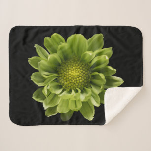 Couverture Sherpa Fleurs Chrysanthème vert