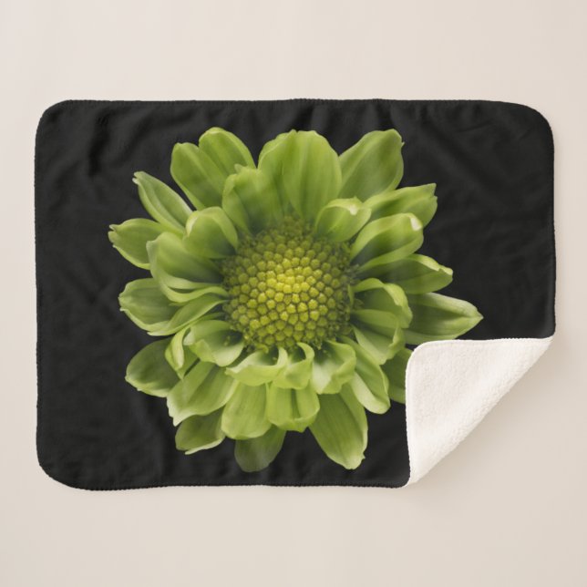 Couverture Sherpa Fleurs | Chrysanthème vert (Devant (Horizontal))