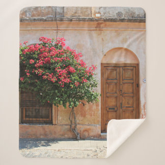 COUVERTURE SHERPA FLEURS DE PÉTAL ROUGE SUR MUR BÉTON
