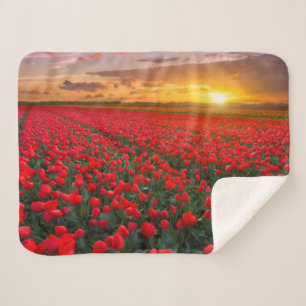 Couverture Sherpa Fleurs Jardin botanique Hollande