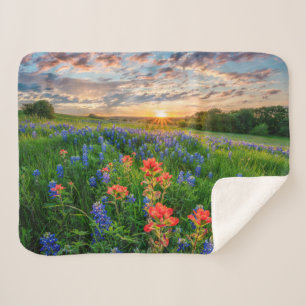 Couverture Sherpa Fleurs   Texas Bluebonnets & Indian Paintbrush
