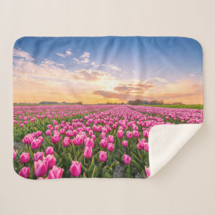 Couverture Sherpa Fleurs   Tulips Holland Sud, Pays-Bas