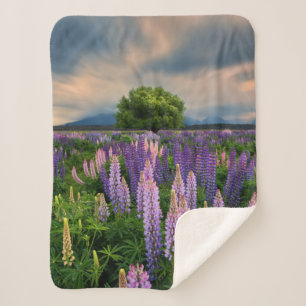 Couverture Sherpa Flowers (homonymie) Lupine Field à New Zealand