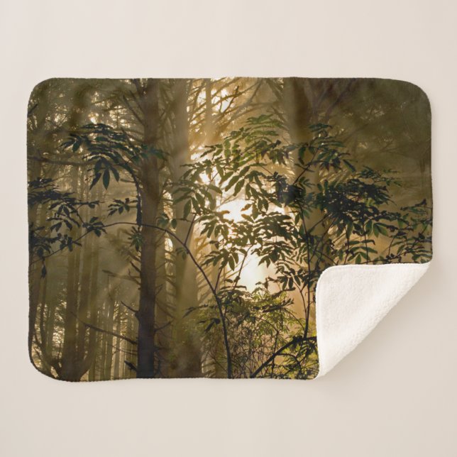 Couverture Sherpa Forêt de feuillus persistants | Côte de l'Oregon (Devant (Horizontal))