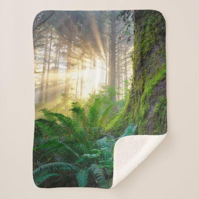 Couverture Sherpa Forêt de la côte pacifique, Oregon (Devant)