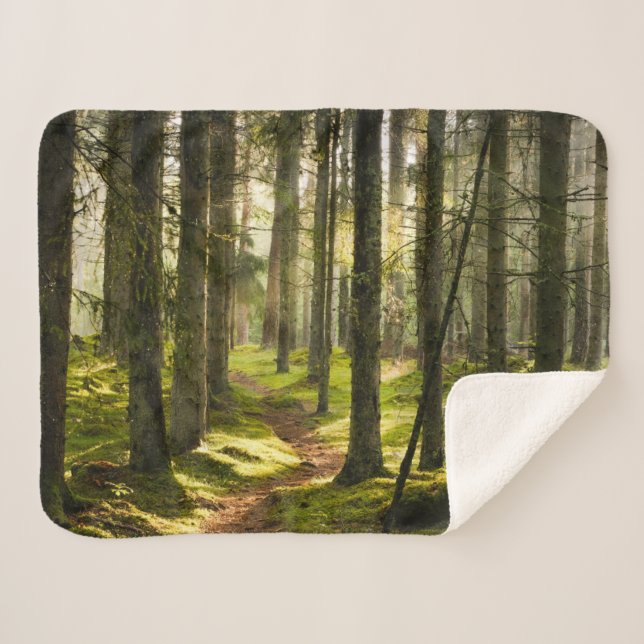 Couverture Sherpa Forêt | Forêt boréale Suède (Devant (Horizontal))