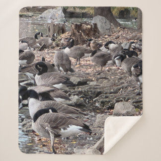 Couverture Sherpa Geese in the Park Sherpa Blanket