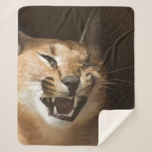Couverture Sherpa Goofy Lynx