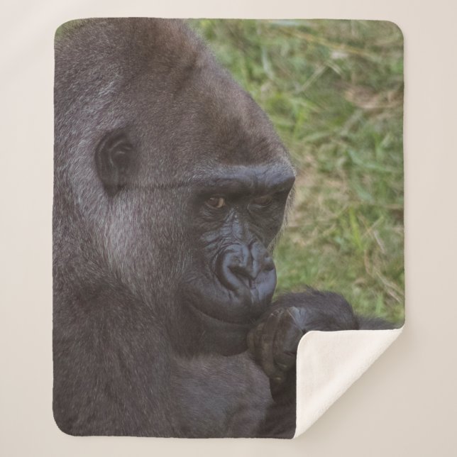 Couverture Sherpa Gorilla (Devant)