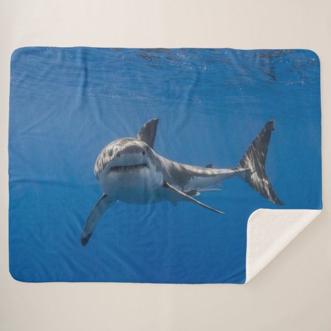 COUVERTURE SHERPA GRAND REQUIN BLANC (Devant (Horizontal))