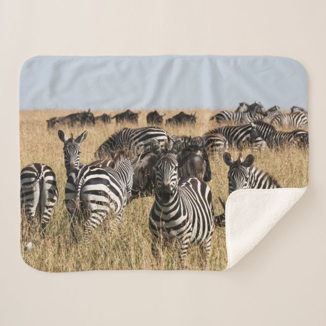 Couverture Sherpa Grant's Zebra Sherpa Blanket (Devant (Horizontal))