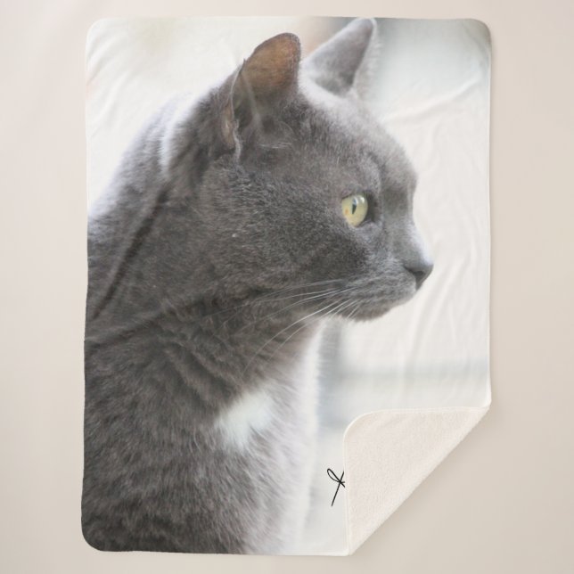 Couverture Sherpa Gray Kitty Chat (Devant)