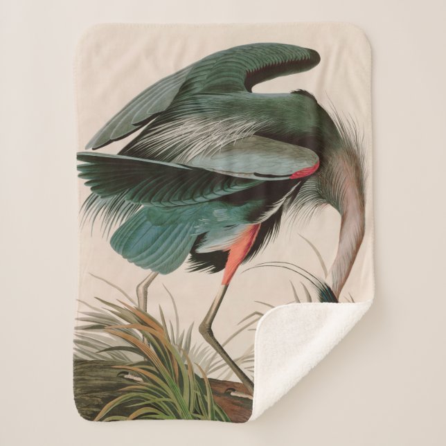 Couverture Sherpa Great Blue Heron Birds of America Audubon Imprimer (Devant)