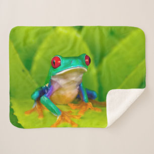 Couverture Sherpa Grenouille aux yeux rouges, Costa Rica